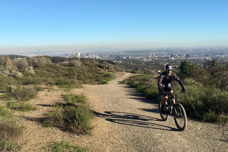 Daniel Ricciardo auf den Hügeln jenseits von Los Angeles