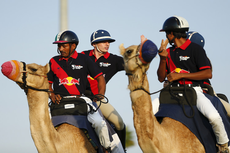 Max Verstappen in Abu Dhabi