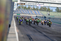 Twin Cup mit Suzuki