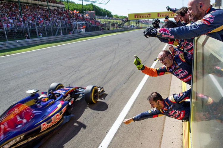 Die Toro-Rosso-Truppe feiert ihren Max Verstappen