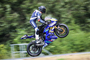 Das Sieger-Wheelie