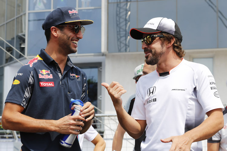 Ricciardo und Alonso