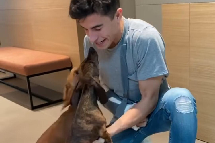 Marc Márquez ist wieder zu Hause, Stitch und Shira freut es