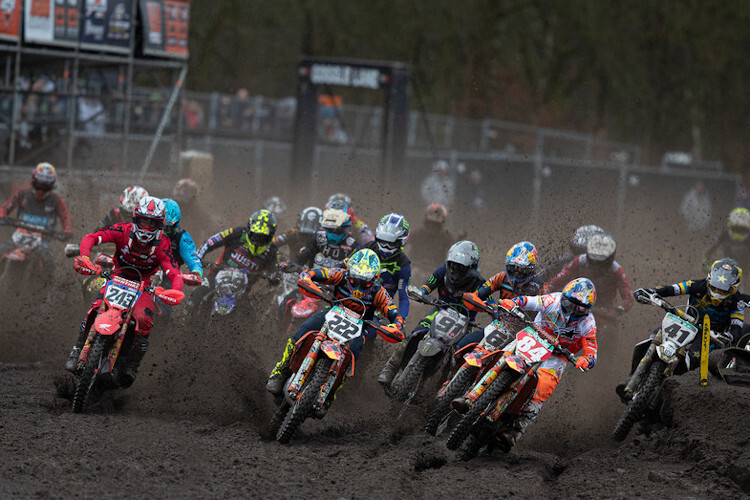 Tim Gajser #243 startete in Valkenswaard erstaunlich gut, neben ihm Tony Cairoli #222 und Jeffrey Herlings #84