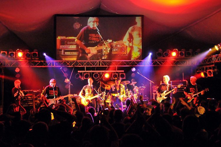 Die Molch Combo bei einem Konzert in Hamburg