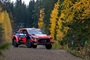 Ott Tänak mit Bestzeit im Shakedown