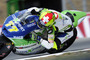 Dominique Aegerter: Wird 2014 das letzte Jahr in der Moto2-WM?