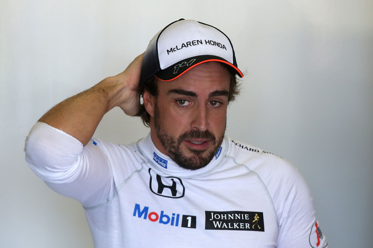 Fernando Alonso: «Ich glaube, jeder würde Lewis Hamilton und mich gerne gegeneinander fahren sehen»