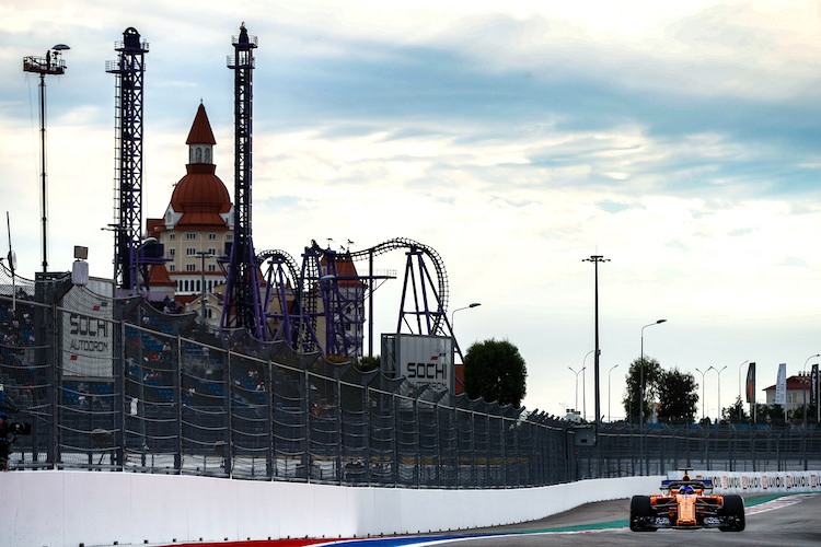 Fernando Alonso in Sotschi