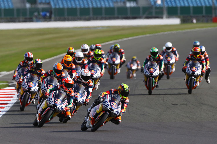 Gesucht: Neue Fahrer für den Red Bull Rookies Cup