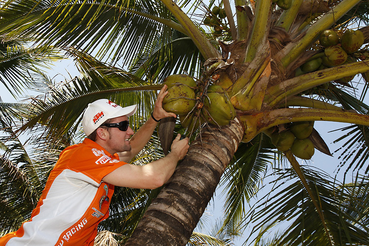 Max Nagl klettert auf Palmen