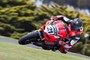Troy Bayliss fährt wieder Rennen