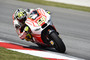 Andrea Iannone
