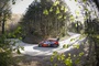 Thierry Neuville bleibt Tabellenzweiter