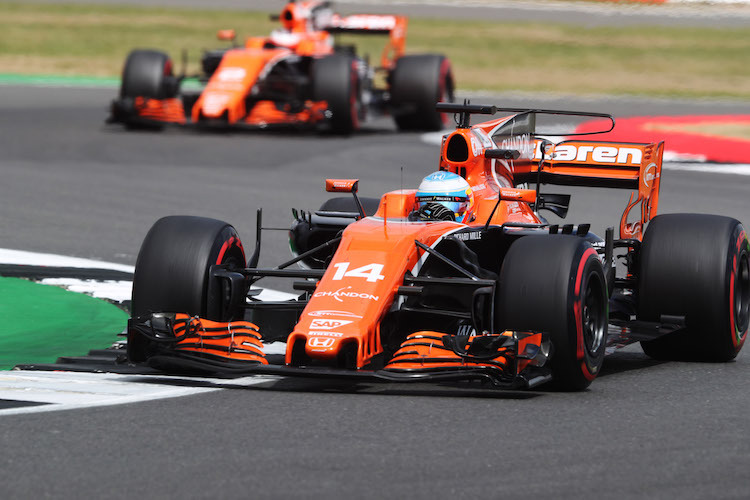 Fernando Alonso vor Stoffel Vandoorne