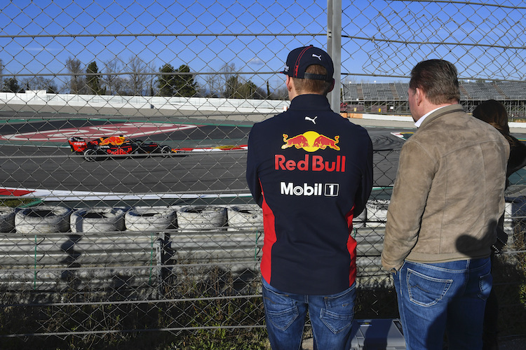 Max und Jos Verstappen beobachten Alex Albon