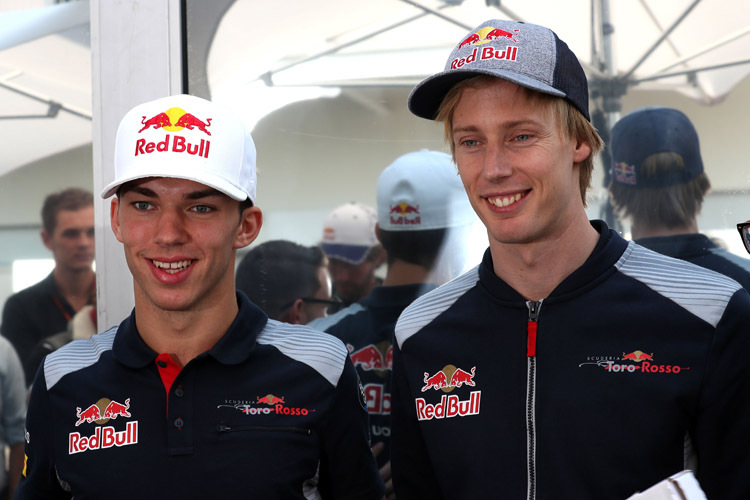 Brendon Hartley und Pierre Gasly dürfen auch in Mexiko für Toro Rosso Gas geben