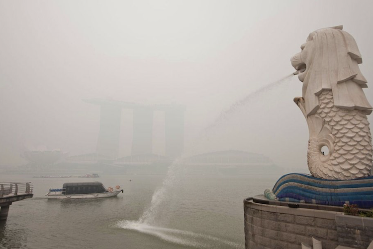 Trübe Aussichten in Singapur