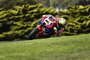 Der Umstieg auf die Honda mit R4-Motor gelang Alvaro Bautista nicht perfekt