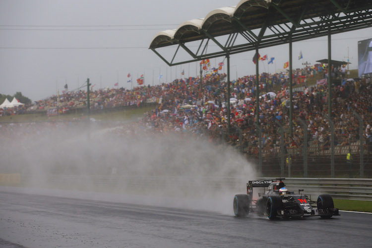 Fernando Alonso im Regen von Ungarn