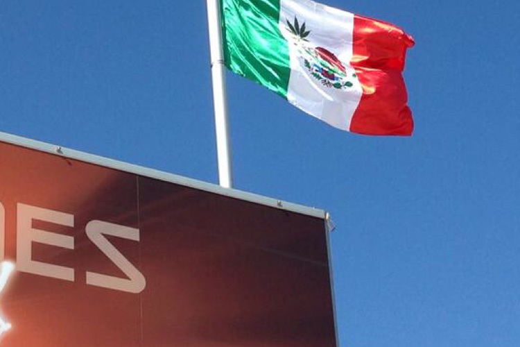 Daran stiessen sich die Mexikaner: Ihre Flagge mit Marihuana-Zweig