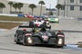 FLM beim ALMS-Wintertest in Sebring