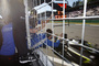 Titel im Sack: Lando Norris reichte ein zweiter Platz in Hockenheim