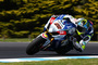 Alex Lowes auf Phillip Island