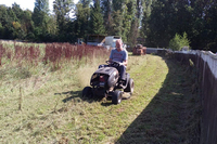 Auf der Grasbahn in Nidda gibt es viel zu tun