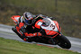 Max Biaggi und seine Aprilia RSV4
