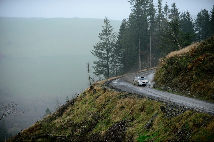 Sébastien Ogier in den walisischen Wäldern