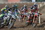 Jeffrey Herlings (84) dominiert zurzeit die MX2-WM