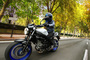 Die Suzuki SV650 in Action
