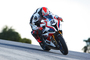 Tom Sykes im 2019er-Design