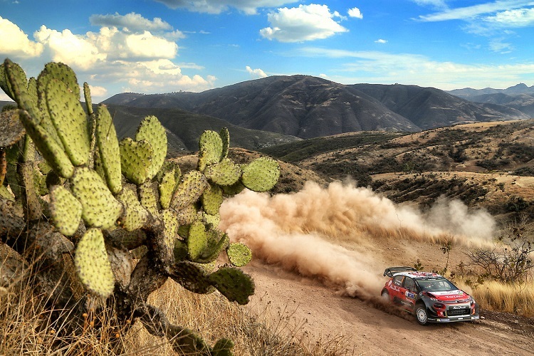 Kris Meeke bei seinem Mexiko-Sieg 2017