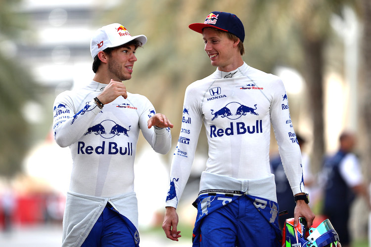 Pierre Gasly und Brendon Hartley