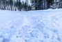 Tife verschneite Waldwege warten im hohen Norden
