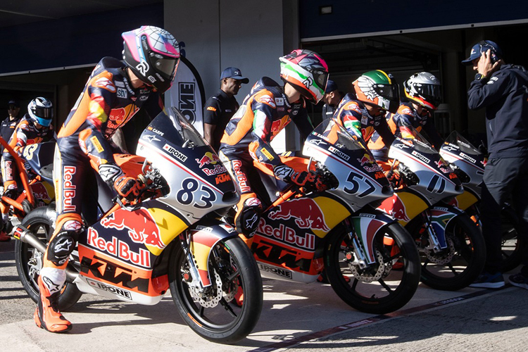 Red Bull Rookies Cup 2024