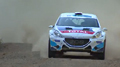 ERC Zypern 2014 - Breen's Survivor Spirit