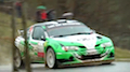 Rebenland Rallye 2015 - Zusammenfassung