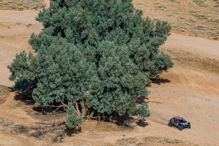 Seltsam öffne dich: Es gibt auch Bäume in der Wüste stellte Sandrider Nasser Al-Attiyah fest