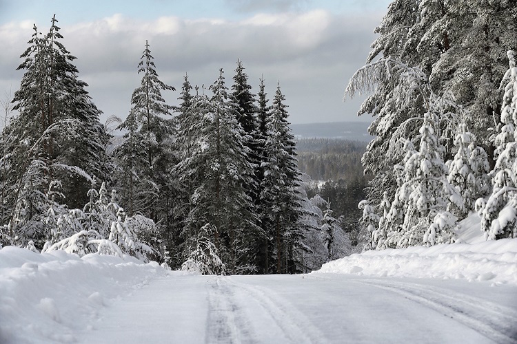 Winter-Wunderland in Schweden