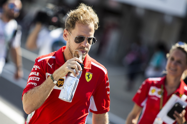 Sebastian Vettel wird auch von Robert Doornbos kritisiert