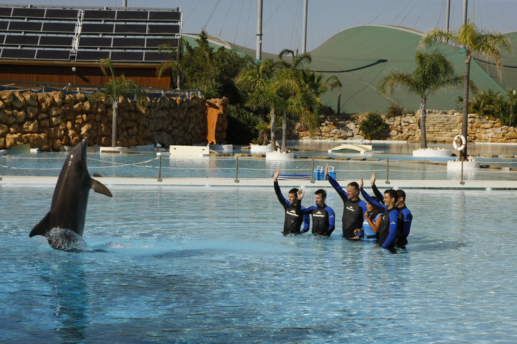 Melandri und Biaggi beim Schwimmen mit Delfinen