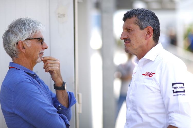 Formel-1-Champion Damon Hill und Haas-Teamchef Günther Steiner