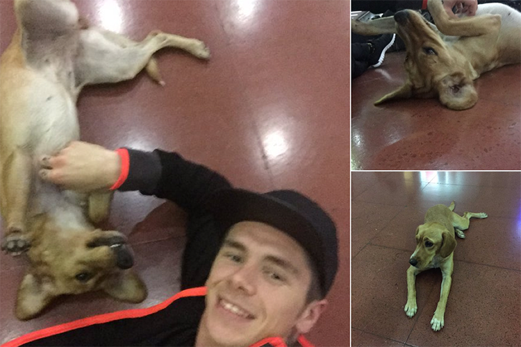 Scott Redding fand am Flughafen in Tucuman einen neuen Freund auf vier Beinen