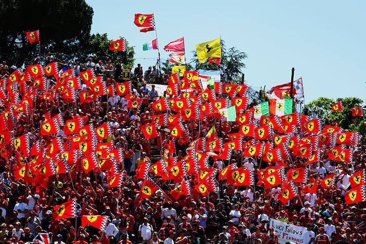 Willkommen zum Rennen in Imola