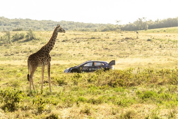 Über 250000 Zuschauer, darunter auch Giraffen, verfolgten die Safari-Rallye Kenia an den rauen Pistente