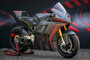 Ein Ducati-Bike ohne Winglets: Die V21L 