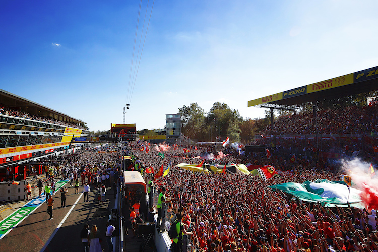 Darauf dürfen sich die Fans in Monza freuen